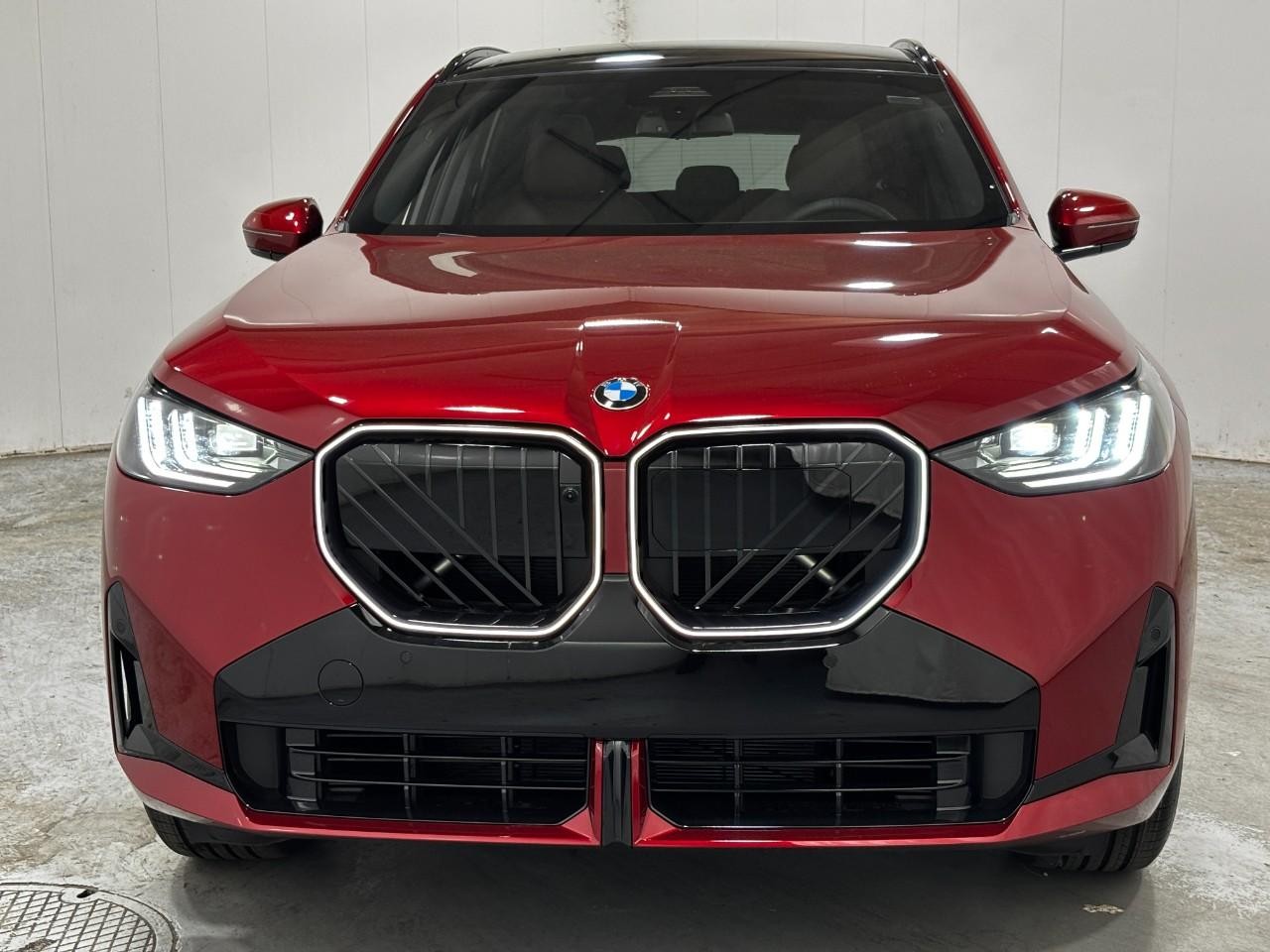 BMW X3 Vehicle Full-screen Gallery Image 7