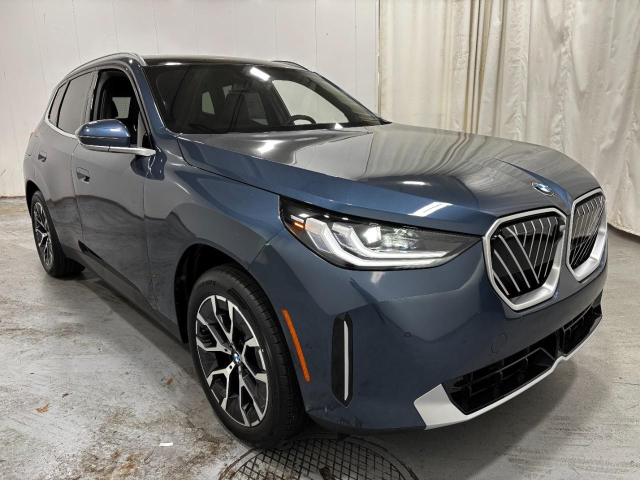 BMW X3 Vehicle Full-screen Gallery Image 6