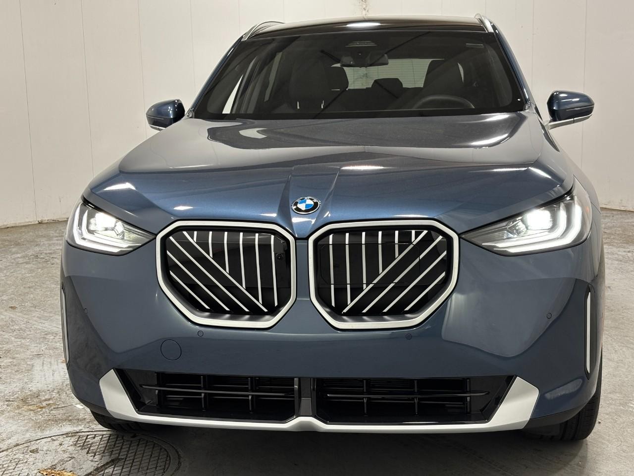 BMW X3 Vehicle Full-screen Gallery Image 7