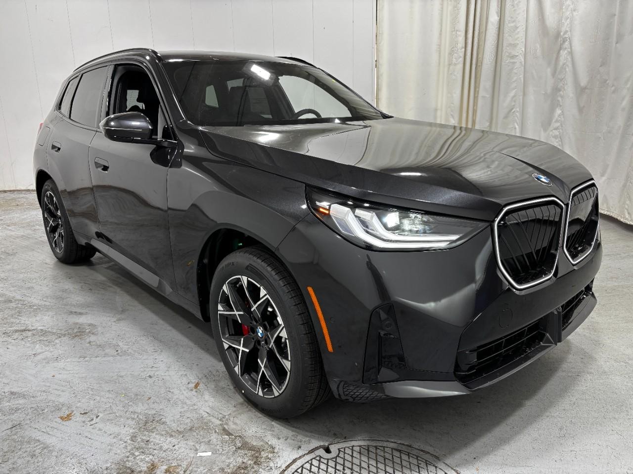 BMW X3 Vehicle Full-screen Gallery Image 6