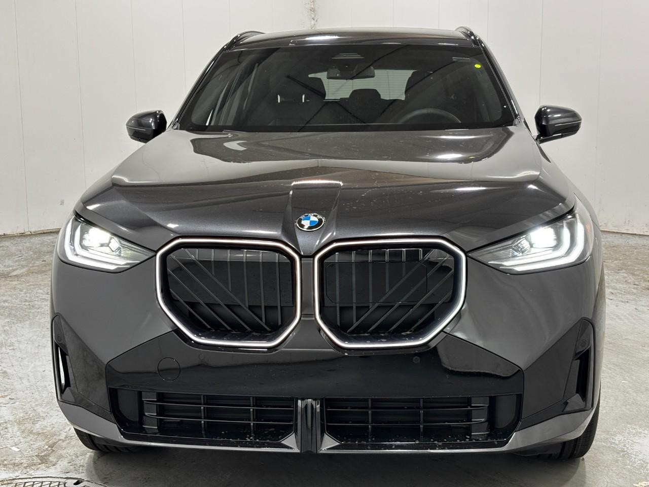 BMW X3 Vehicle Full-screen Gallery Image 7