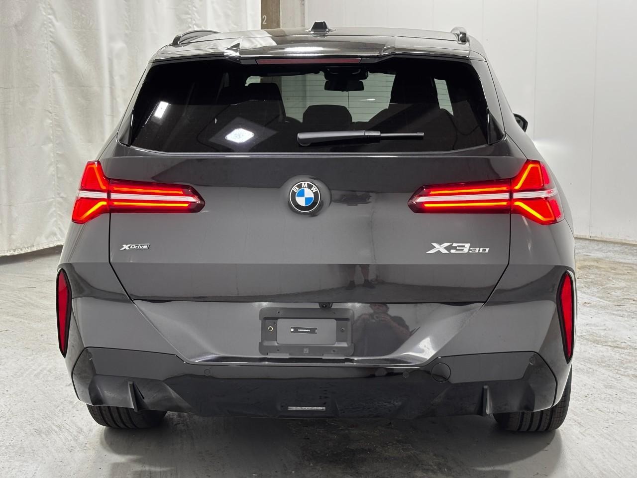 BMW X3 Vehicle Full-screen Gallery Image 10