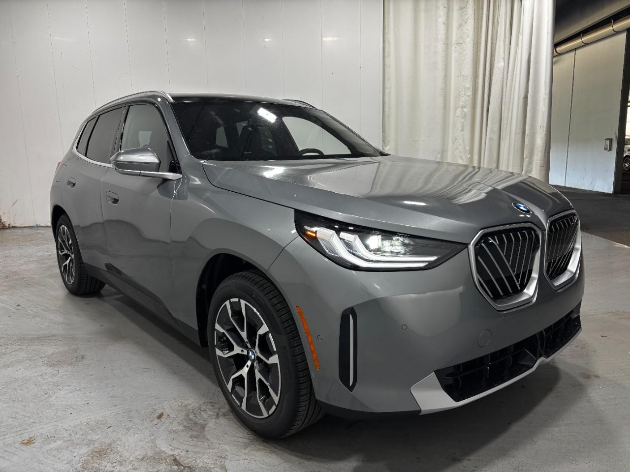 BMW X3 Vehicle Full-screen Gallery Image 6