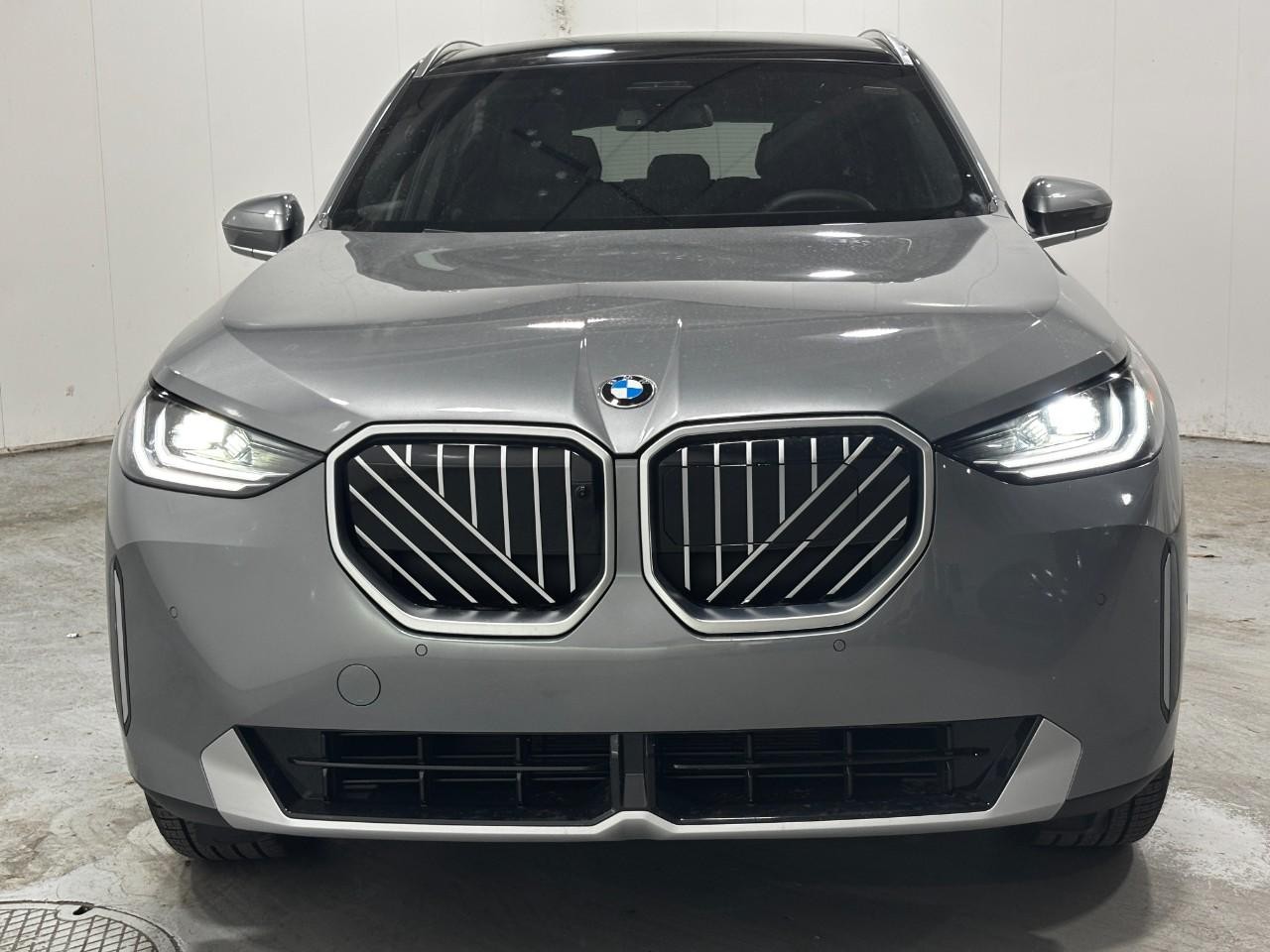 BMW X3 Vehicle Full-screen Gallery Image 7