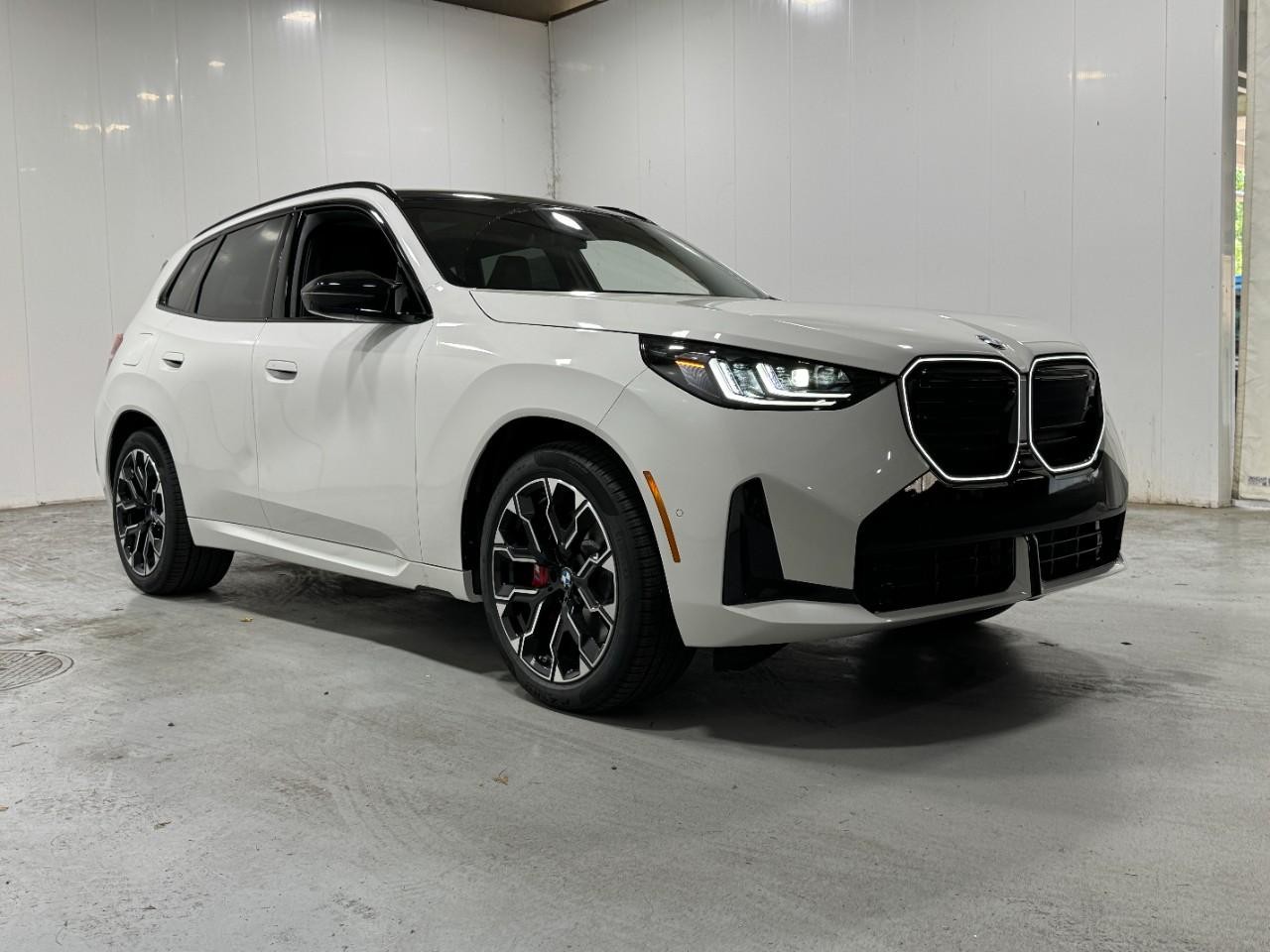 BMW X3 Vehicle Full-screen Gallery Image 6