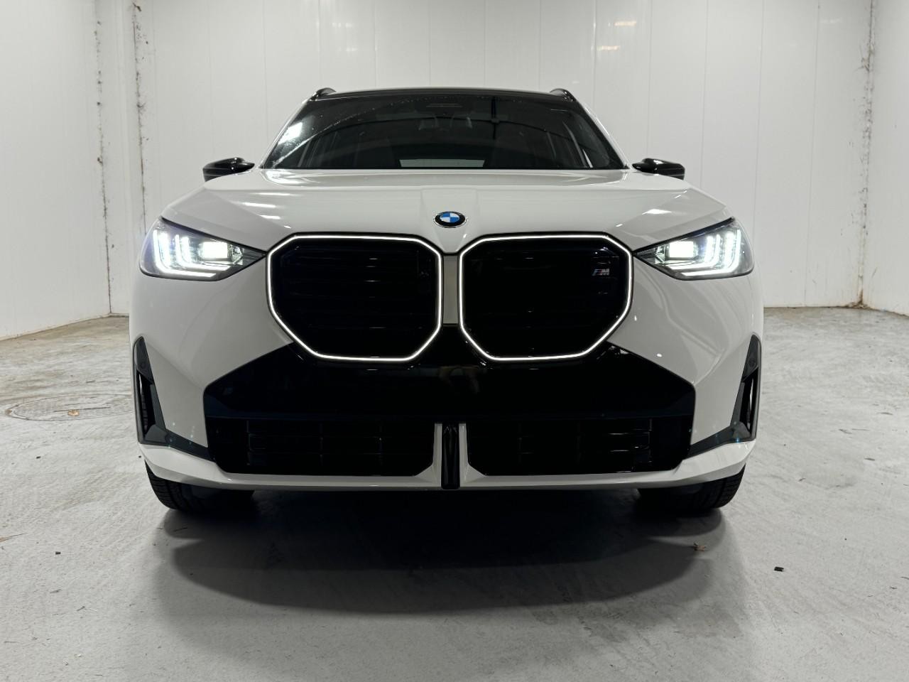 BMW X3 Vehicle Full-screen Gallery Image 9
