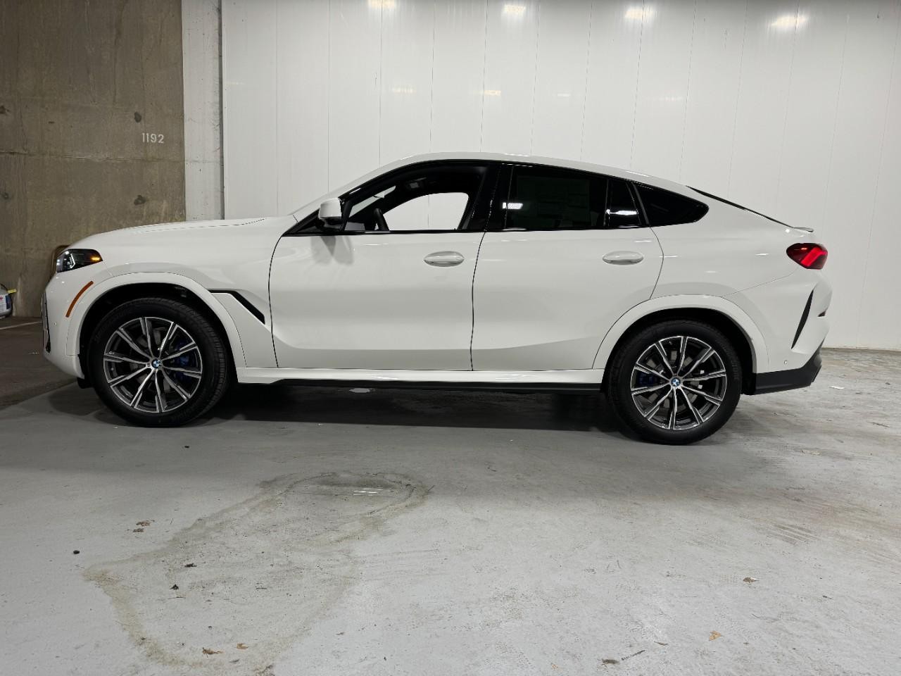 BMW X6 Vehicle Full-screen Gallery Image 2