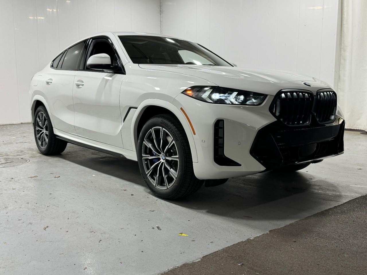 BMW X6 Vehicle Full-screen Gallery Image 6