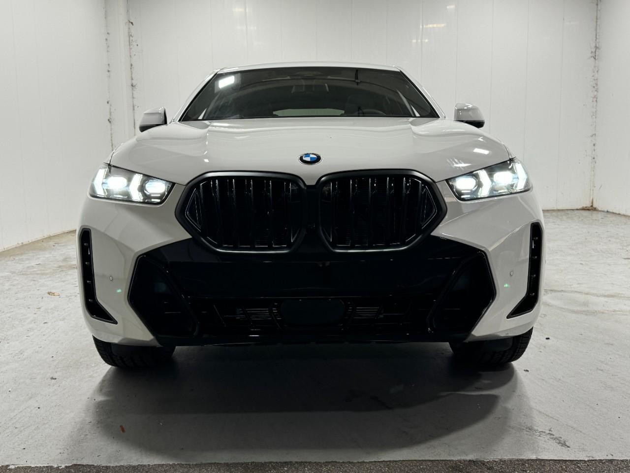 BMW X6 Vehicle Full-screen Gallery Image 7