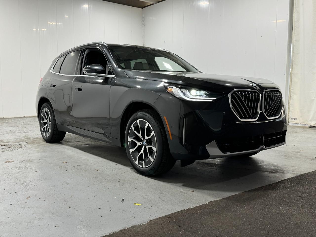 BMW X3 Vehicle Full-screen Gallery Image 6