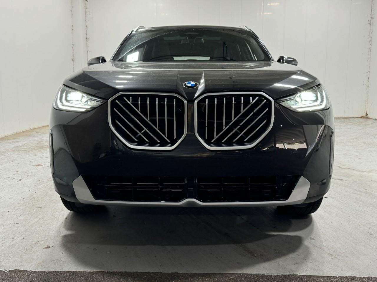 BMW X3 Vehicle Full-screen Gallery Image 7