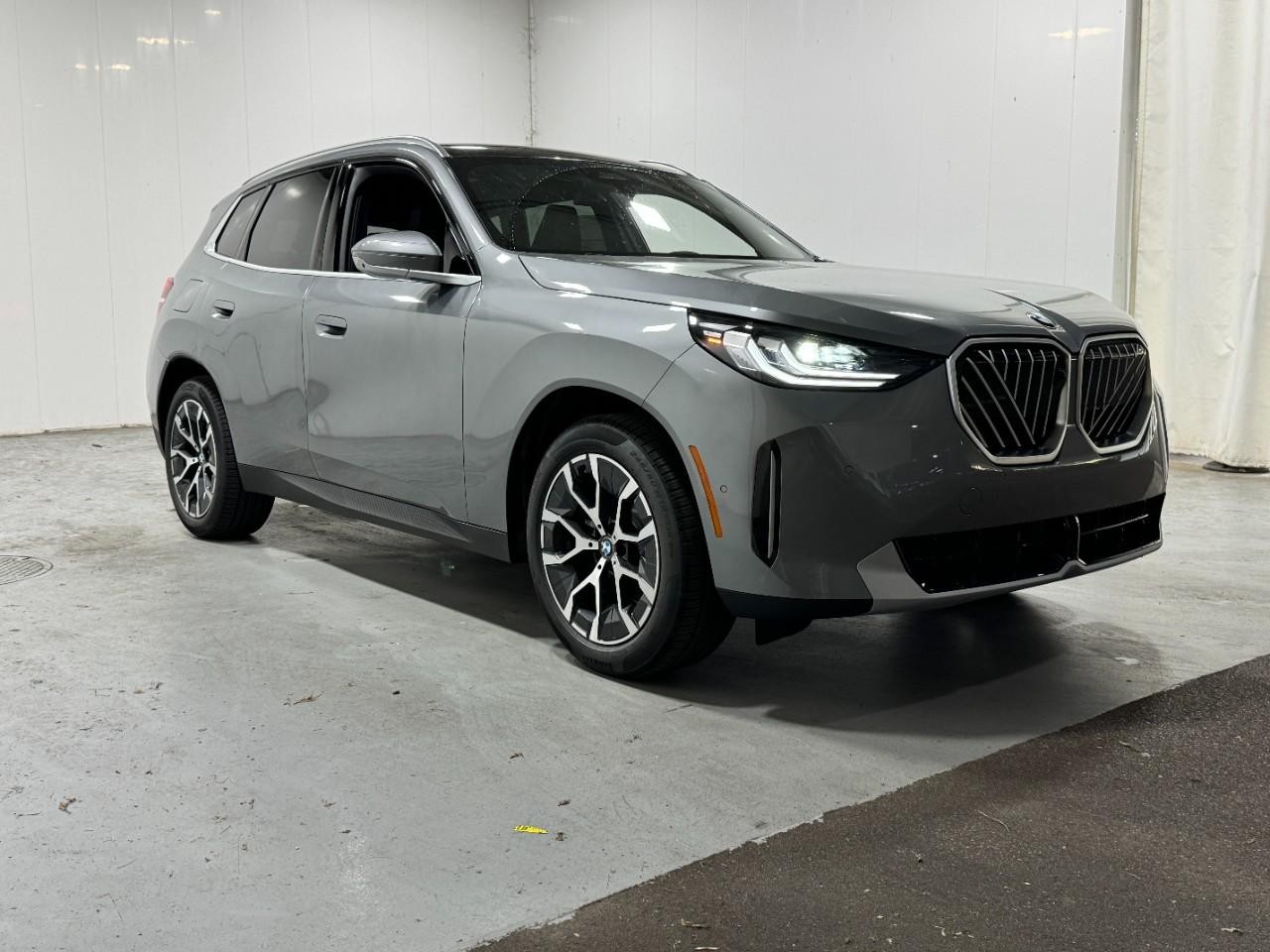 BMW X3 Vehicle Full-screen Gallery Image 6