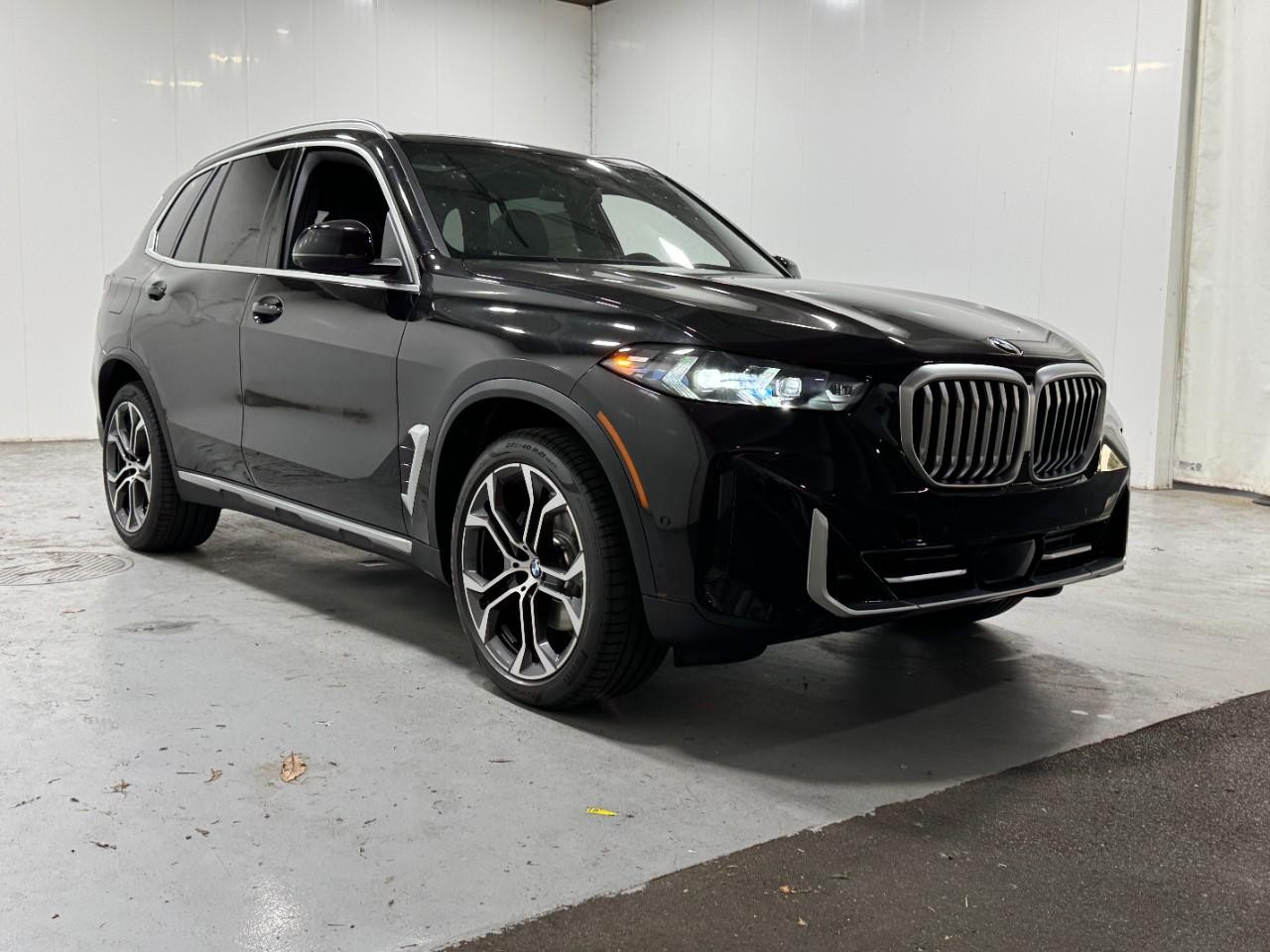 BMW X5 Vehicle Full-screen Gallery Image 6
