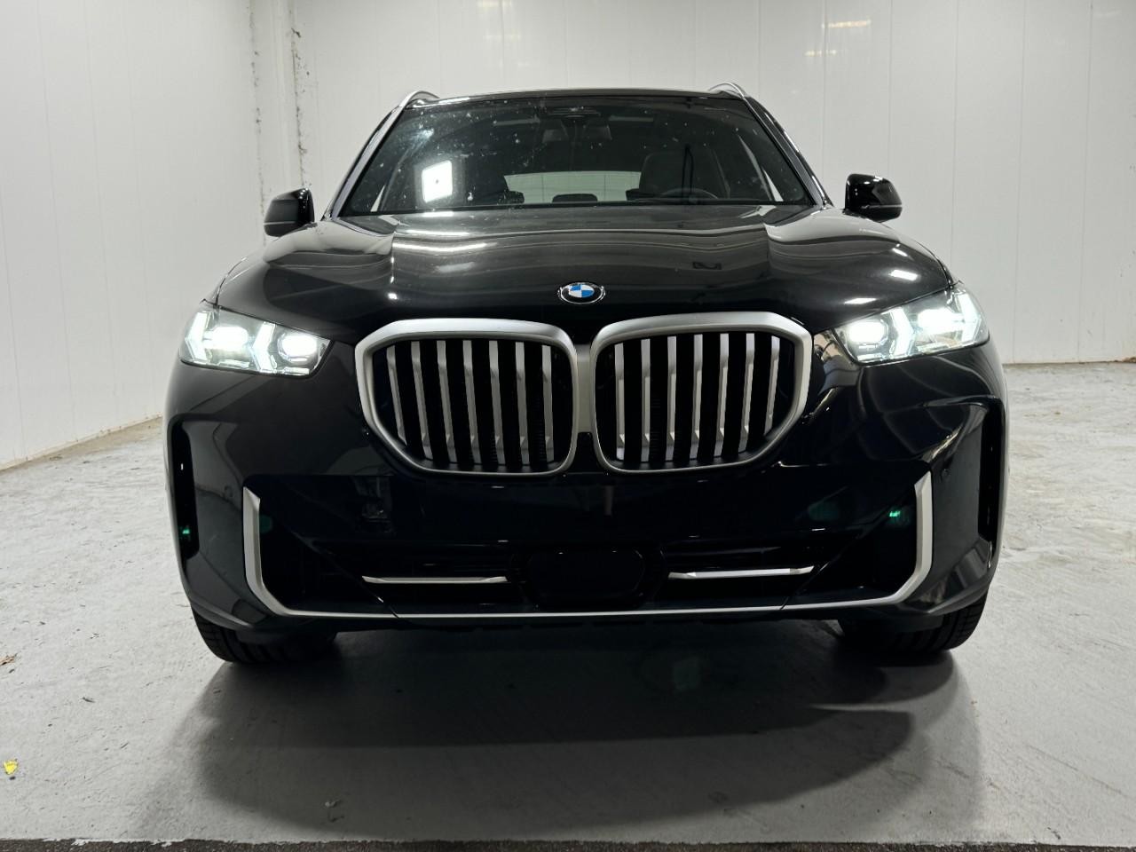 BMW X5 Vehicle Full-screen Gallery Image 7
