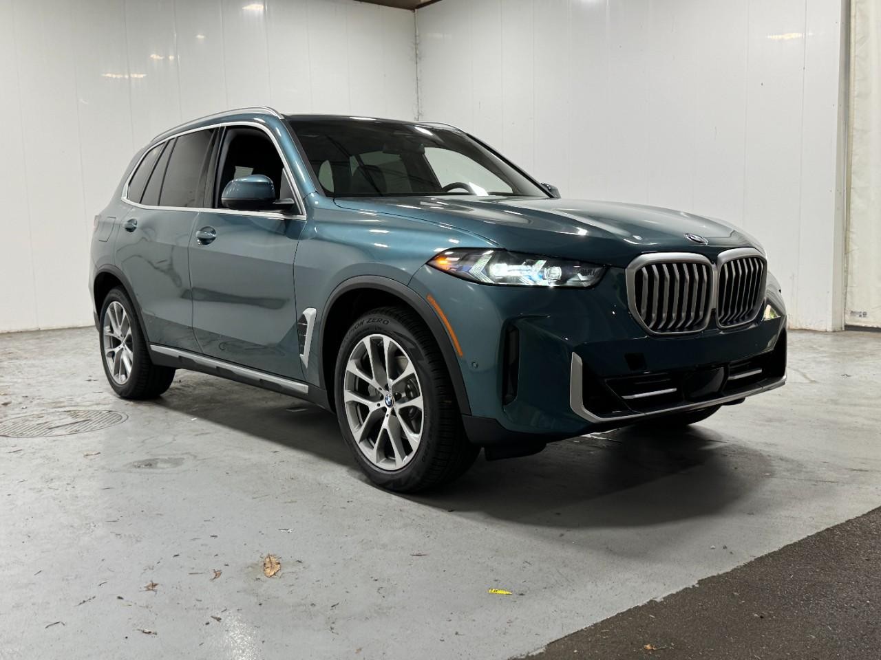 BMW X5 Vehicle Full-screen Gallery Image 6