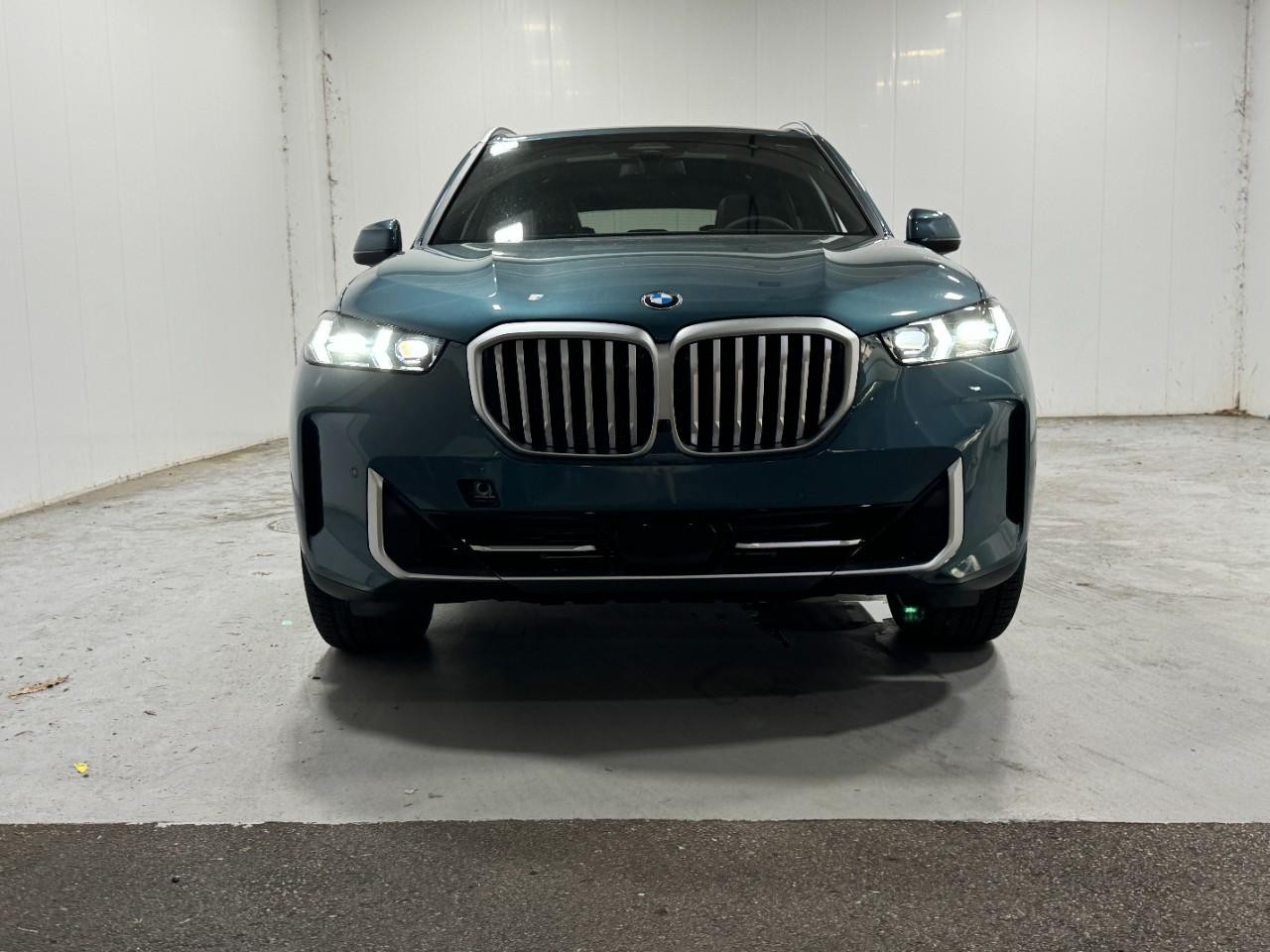 BMW X5 Vehicle Full-screen Gallery Image 7