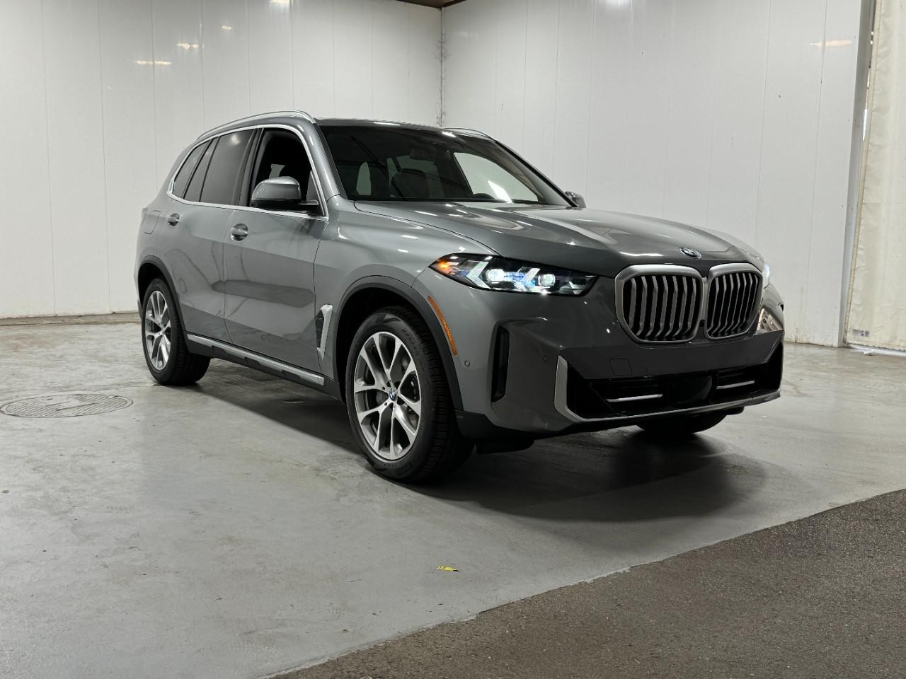 BMW X5 Vehicle Full-screen Gallery Image 6