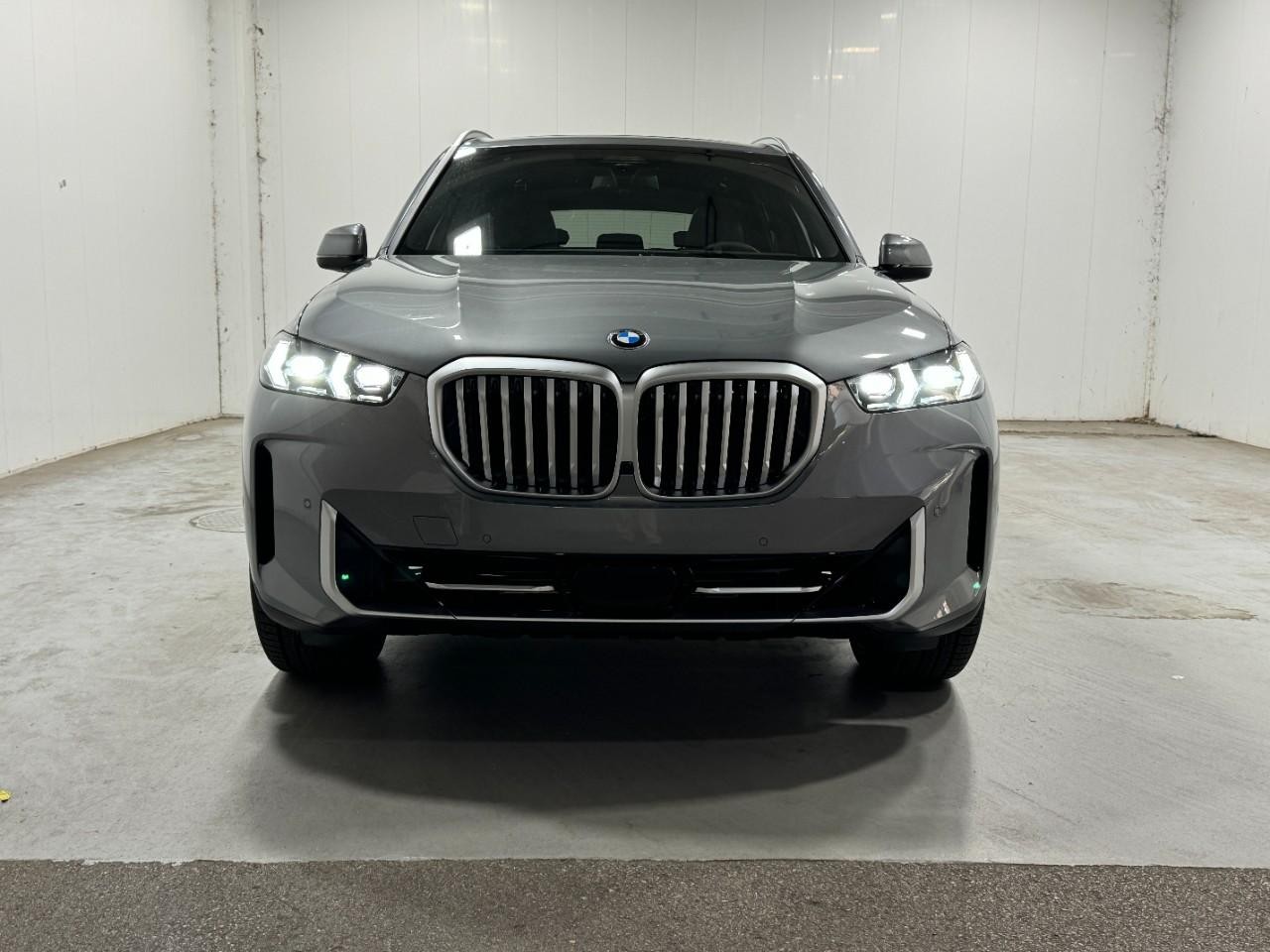 BMW X5 Vehicle Full-screen Gallery Image 7