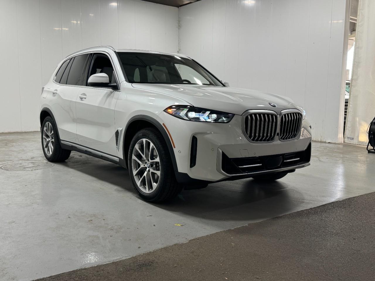BMW X5 Vehicle Full-screen Gallery Image 6
