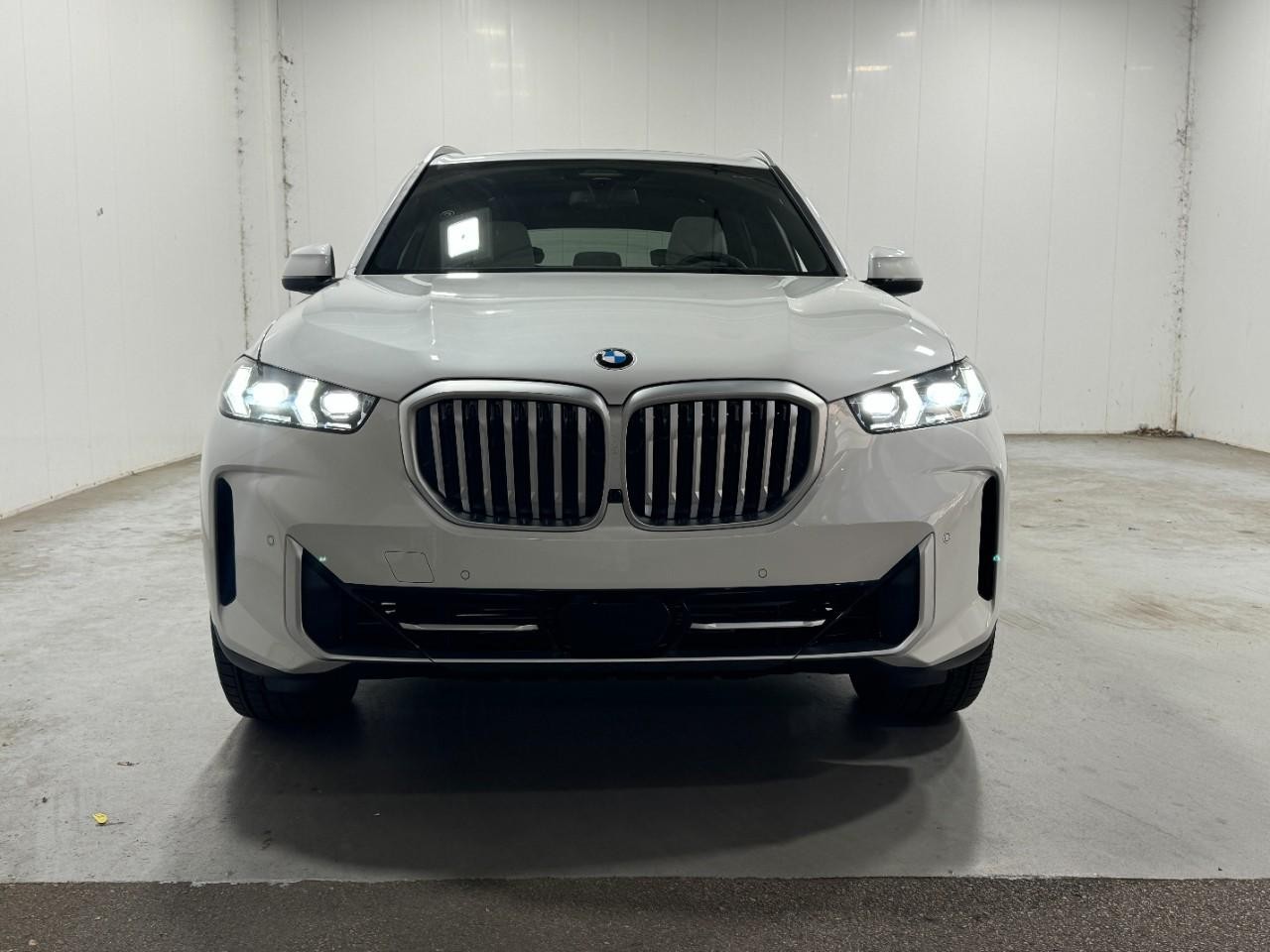 BMW X5 Vehicle Full-screen Gallery Image 7