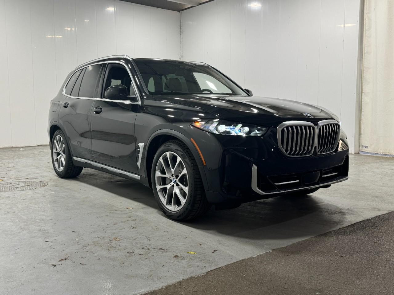 BMW X5 Vehicle Full-screen Gallery Image 6