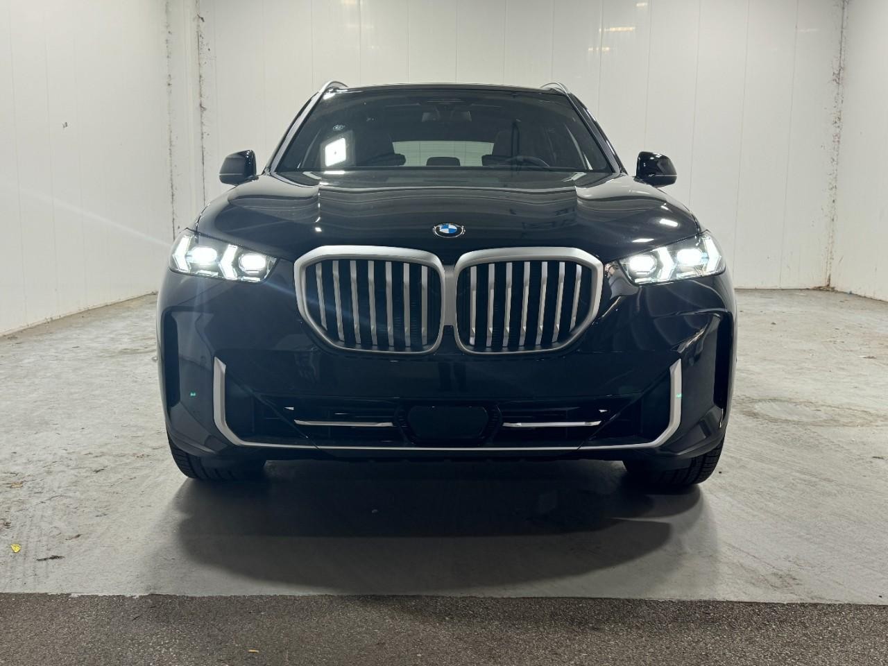 BMW X5 Vehicle Full-screen Gallery Image 7