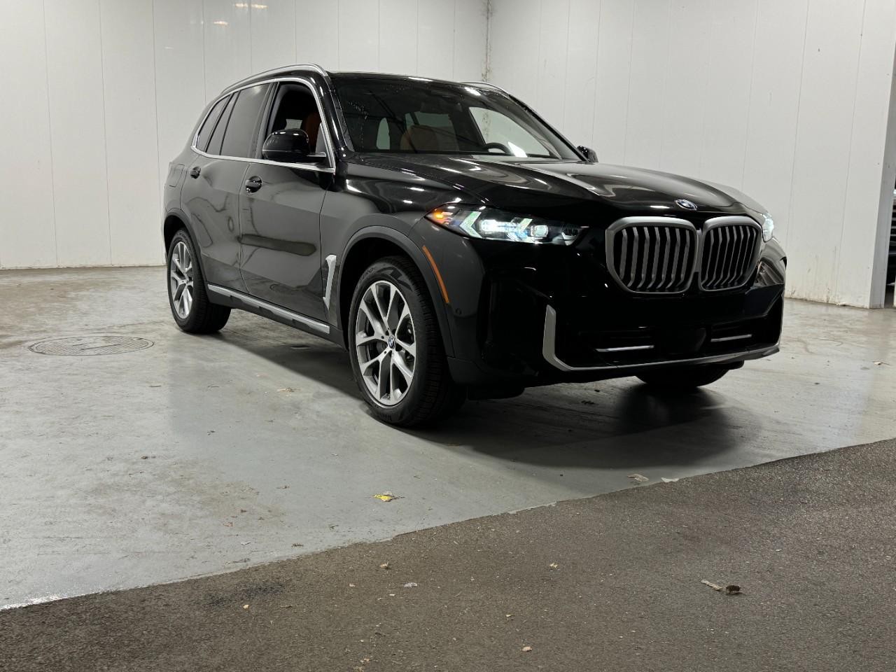 BMW X5 Vehicle Full-screen Gallery Image 6