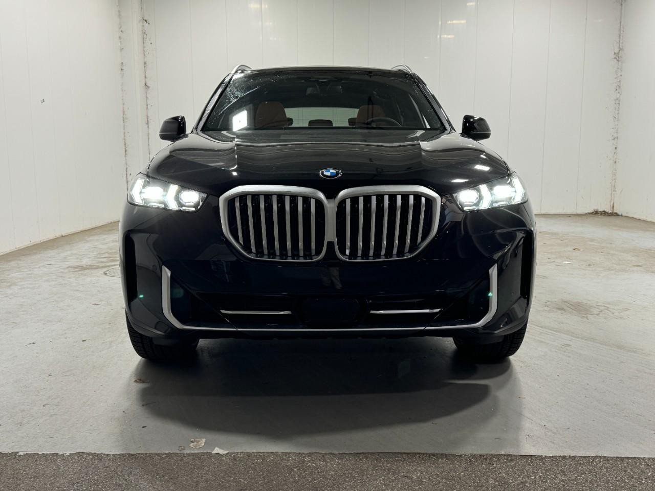 BMW X5 Vehicle Full-screen Gallery Image 7