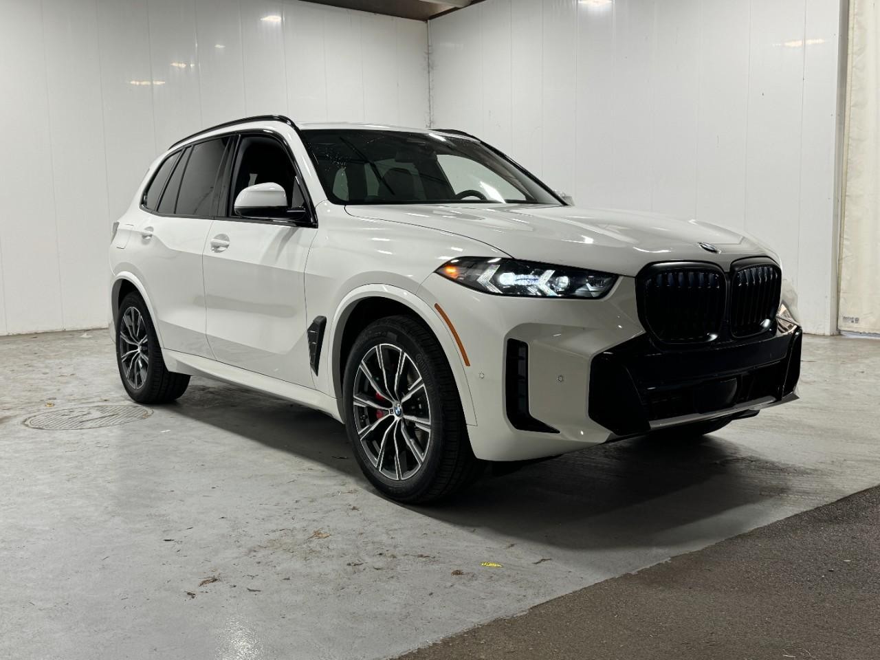 BMW X5 Vehicle Full-screen Gallery Image 6