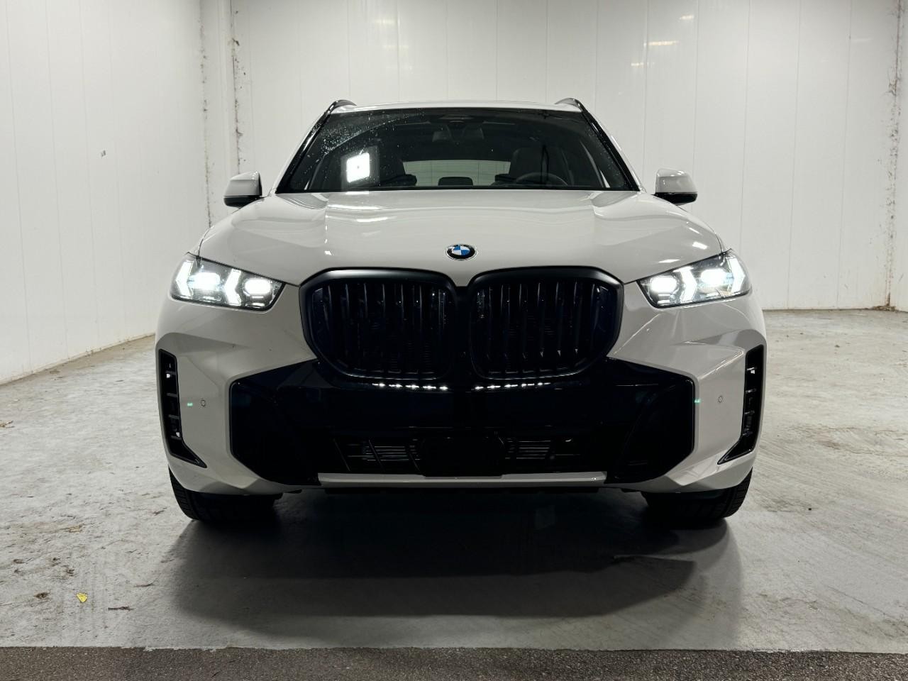 BMW X5 Vehicle Full-screen Gallery Image 7