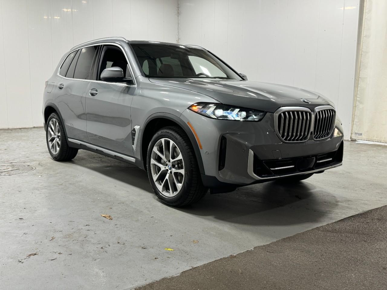 BMW X5 Vehicle Full-screen Gallery Image 6