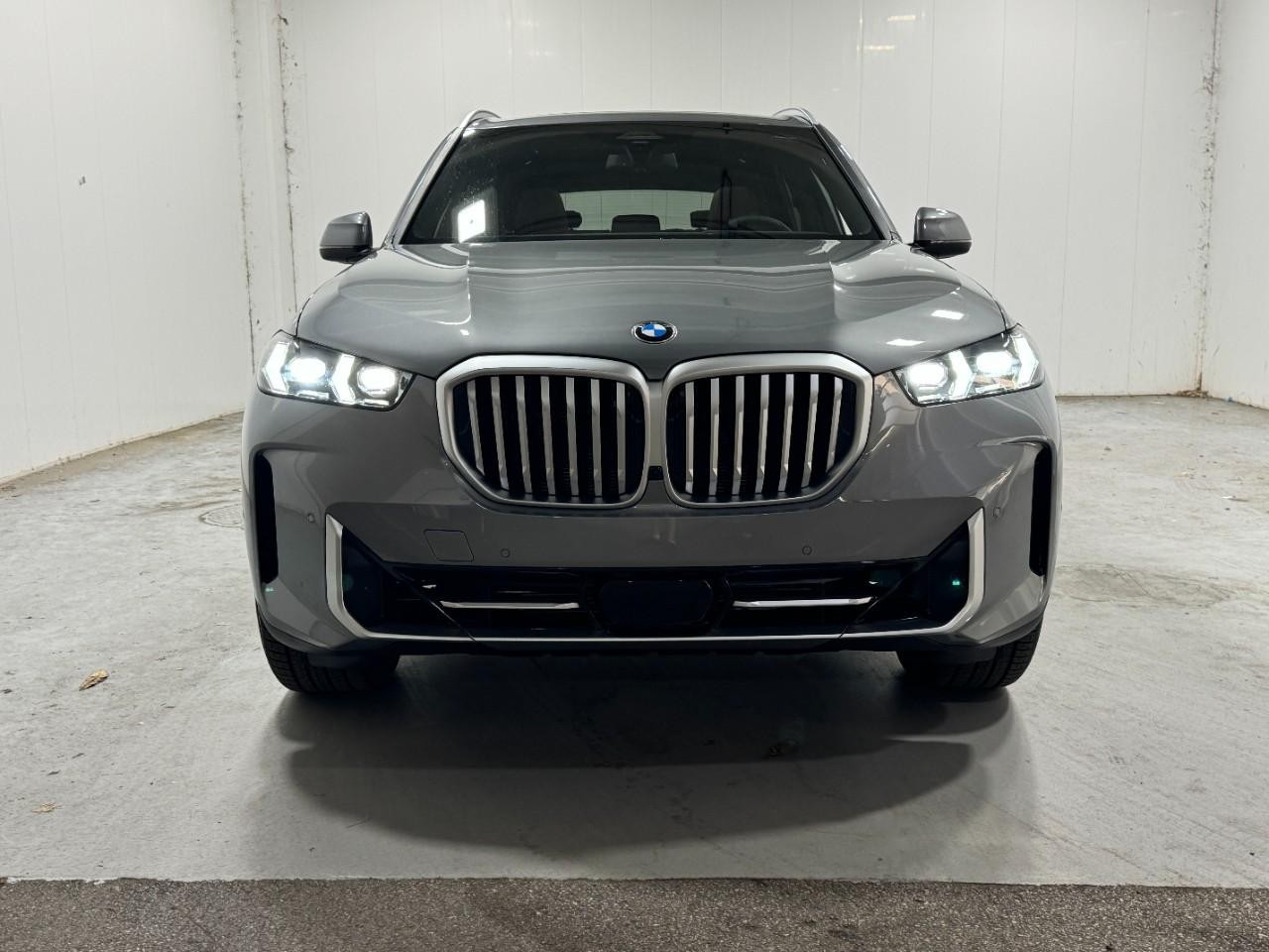 BMW X5 Vehicle Full-screen Gallery Image 7