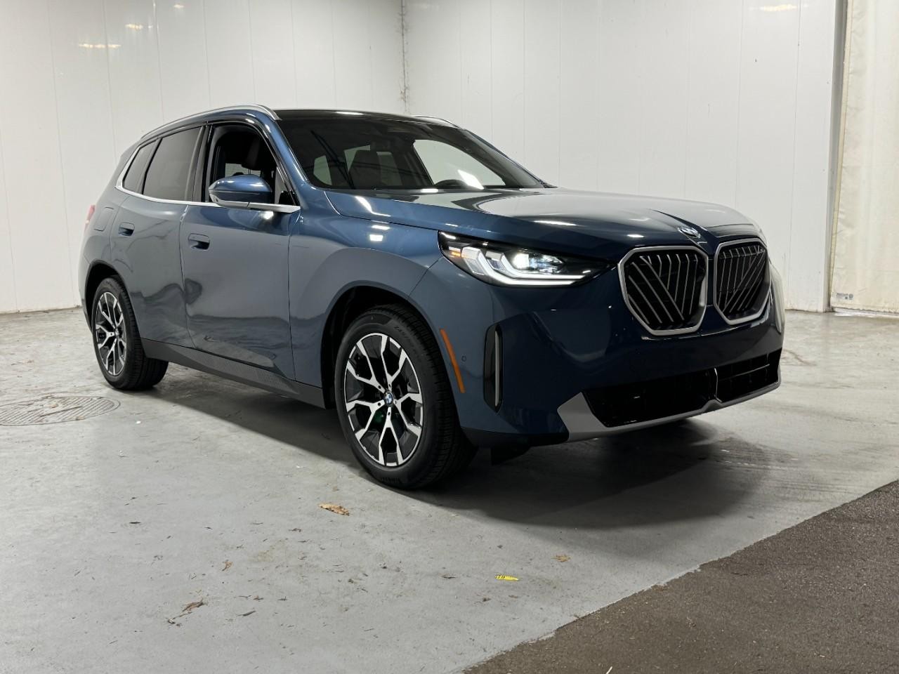 BMW X3 Vehicle Full-screen Gallery Image 6