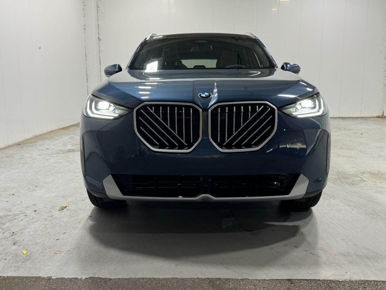 BMW X3 Vehicle Full-screen Gallery Image 7