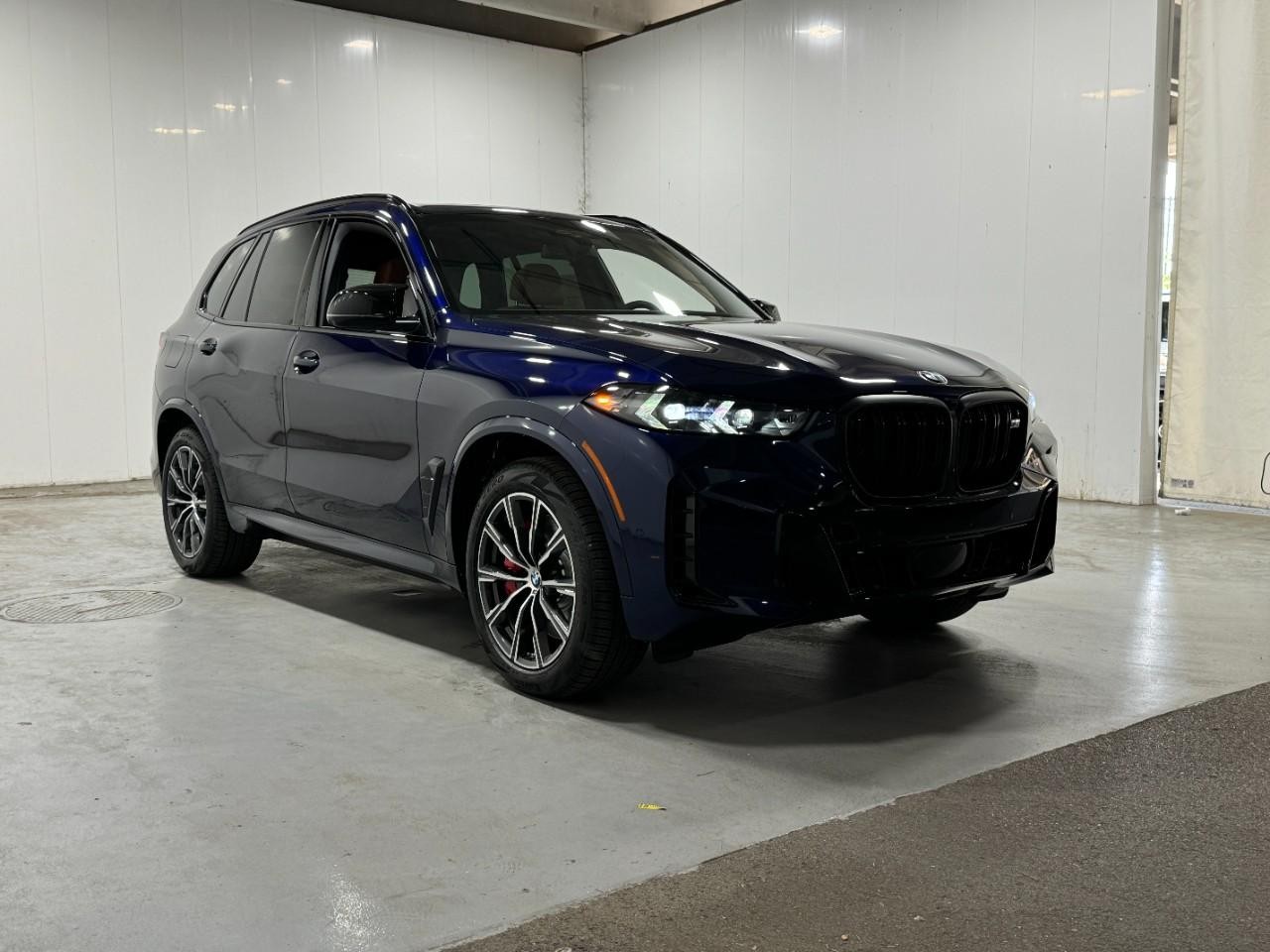 BMW X5 Vehicle Full-screen Gallery Image 6