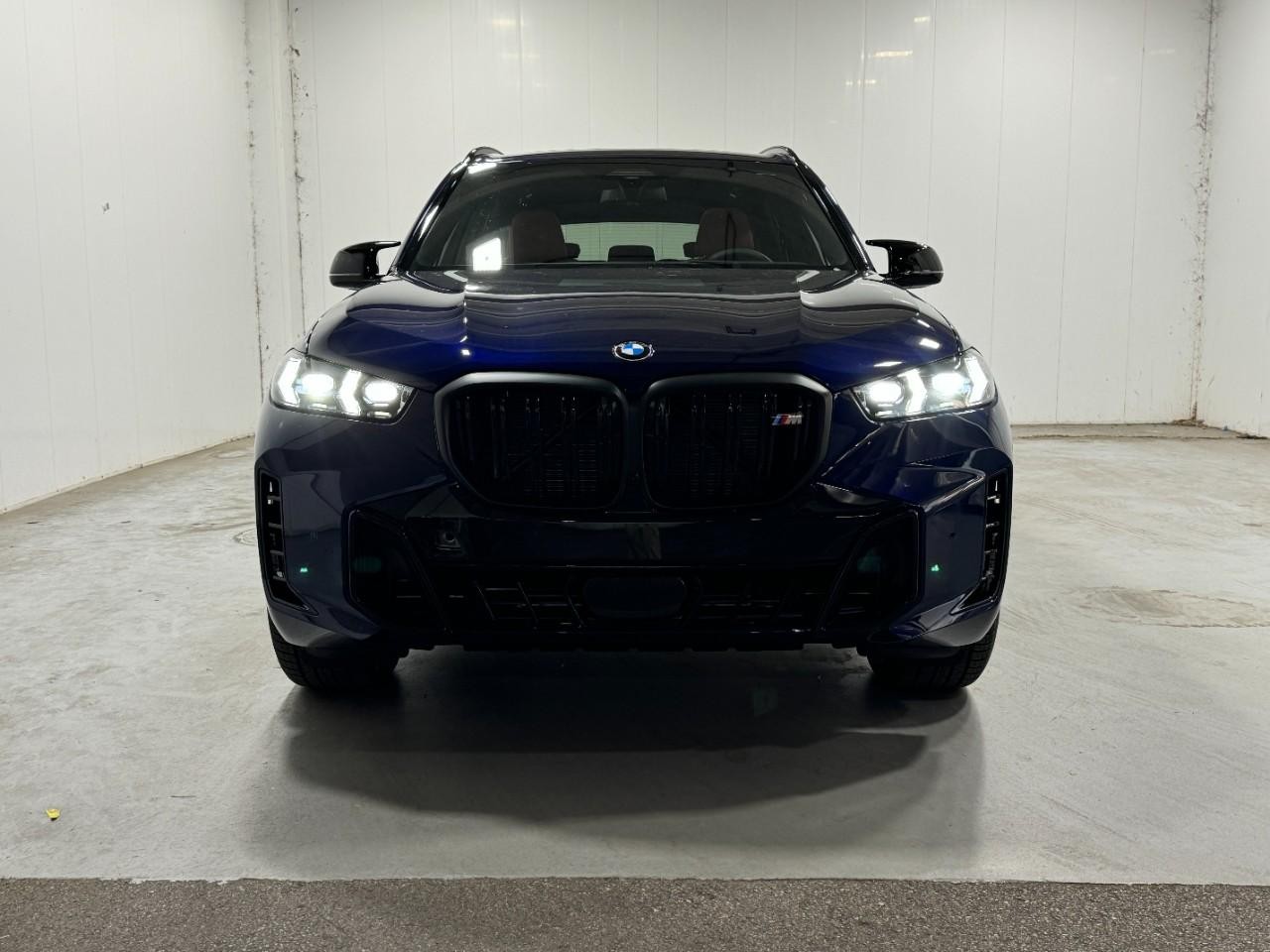 BMW X5 Vehicle Full-screen Gallery Image 7