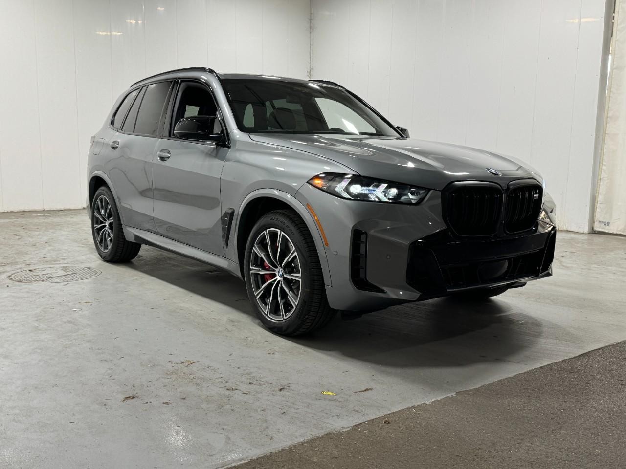 BMW X5 Vehicle Full-screen Gallery Image 6