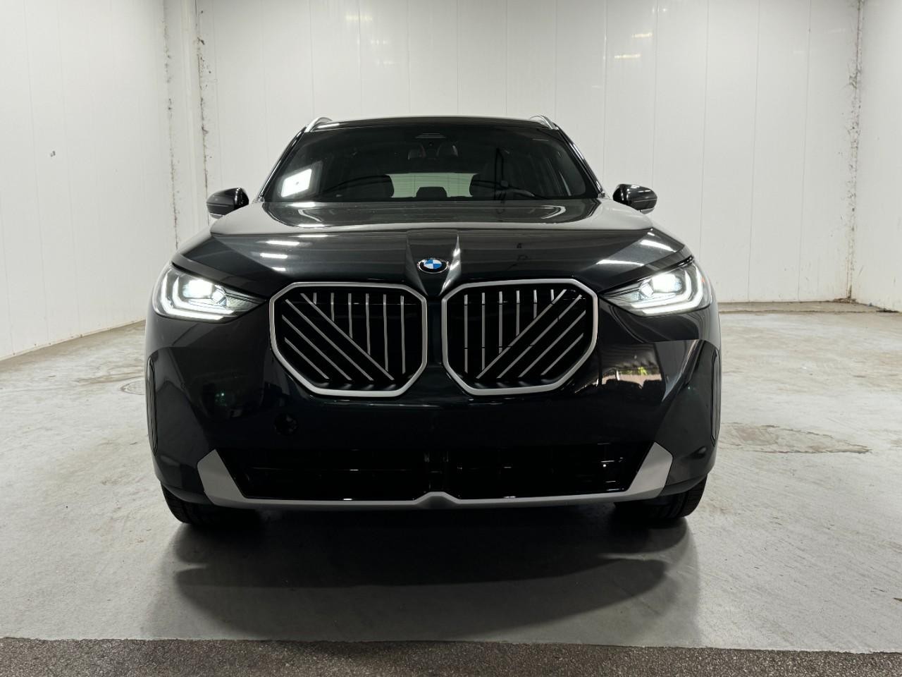 BMW X3 Vehicle Full-screen Gallery Image 7