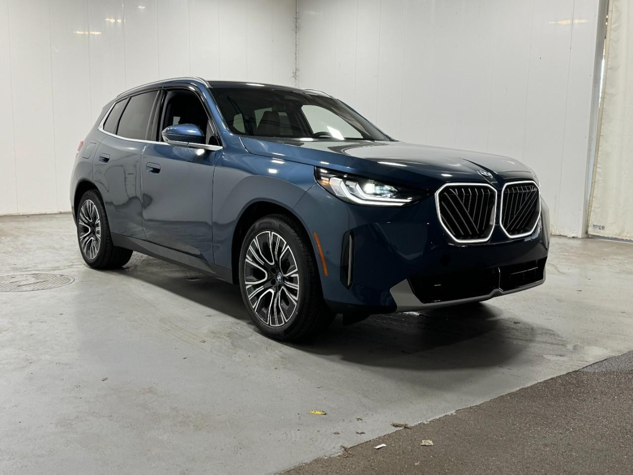 BMW X3 Vehicle Full-screen Gallery Image 6