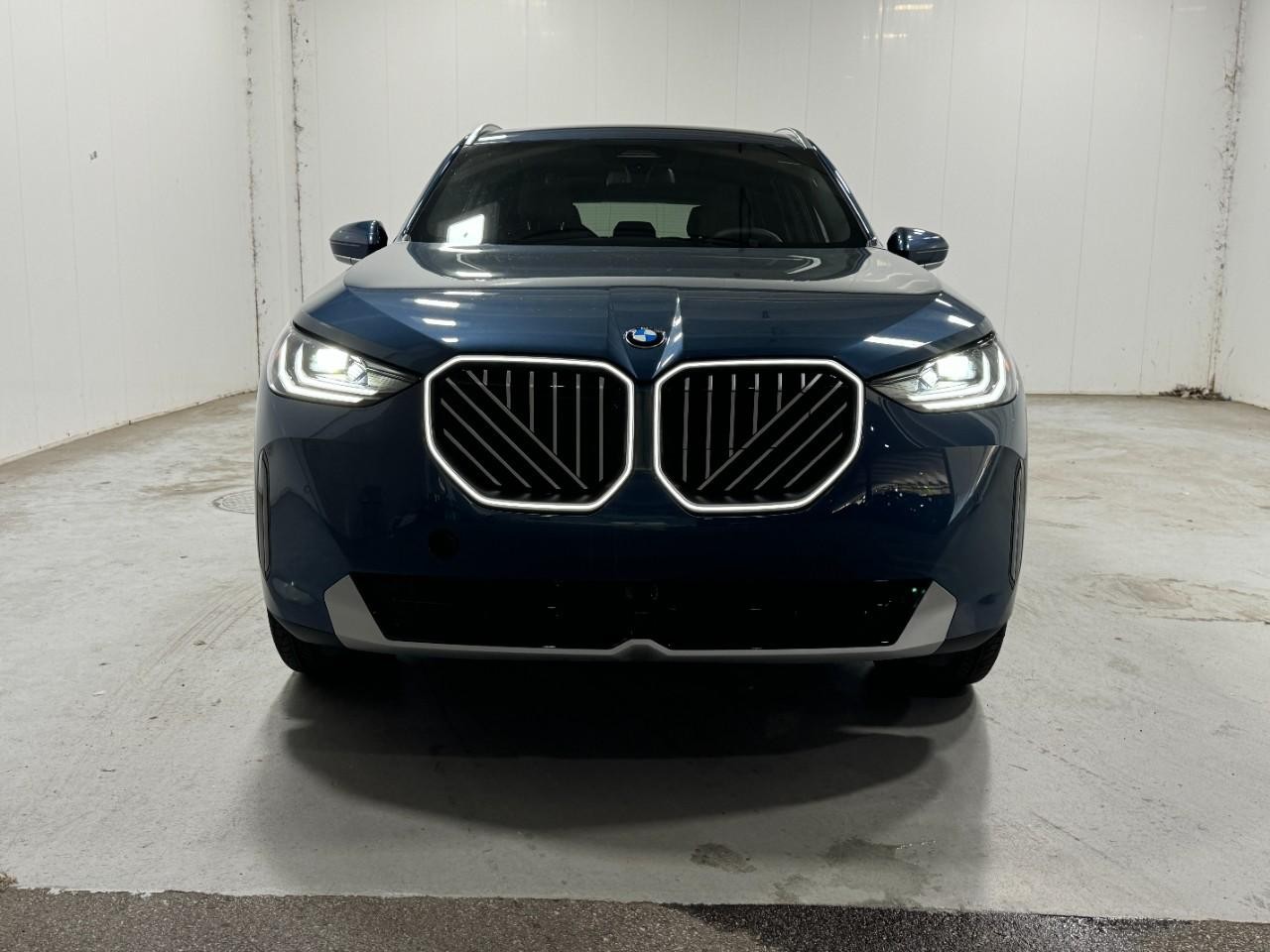 BMW X3 Vehicle Full-screen Gallery Image 7