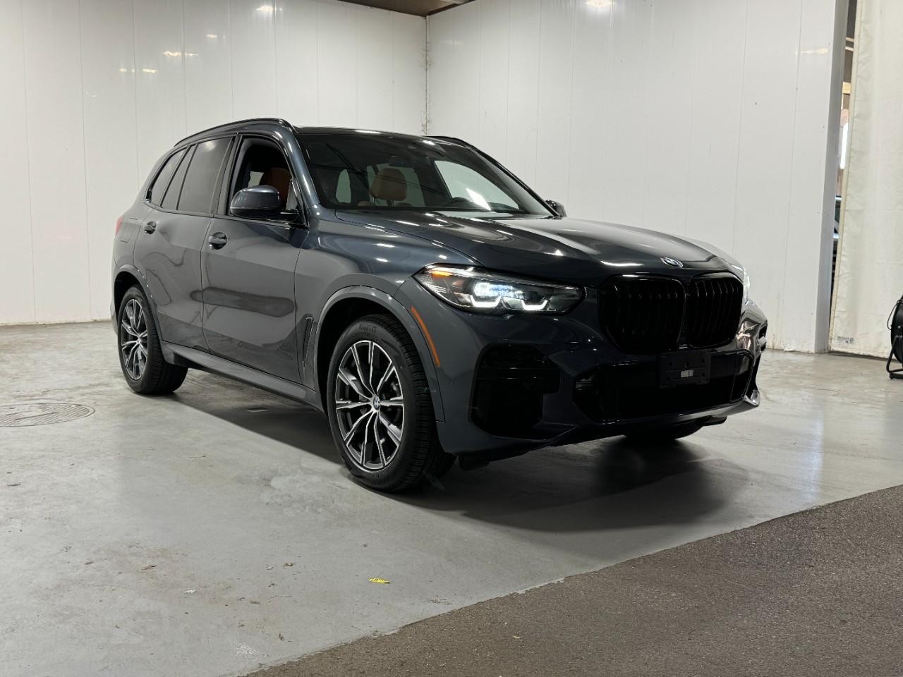 BMW X5 Vehicle Full-screen Gallery Image 6