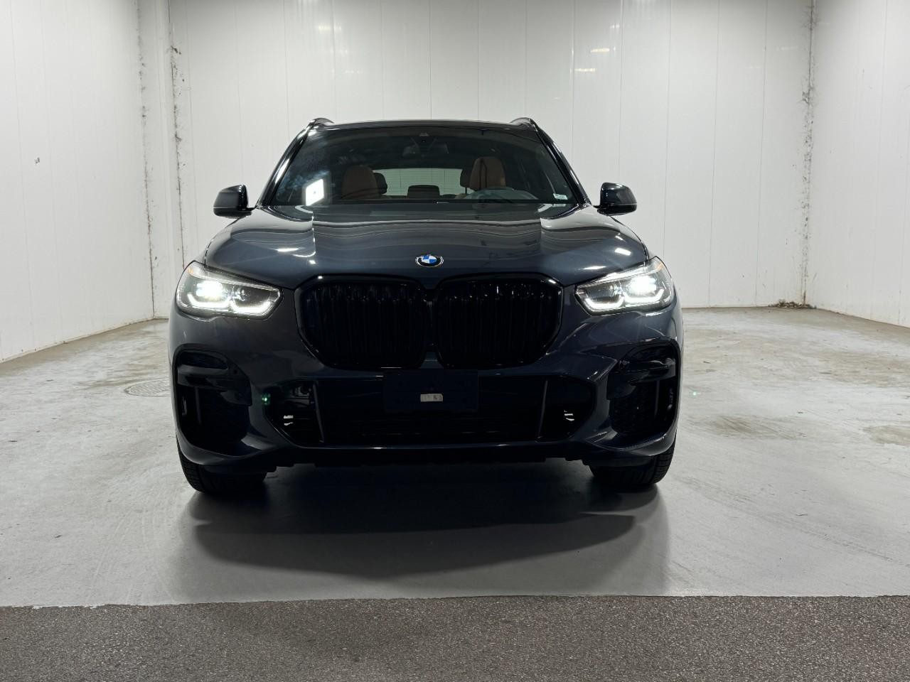 BMW X5 Vehicle Full-screen Gallery Image 7