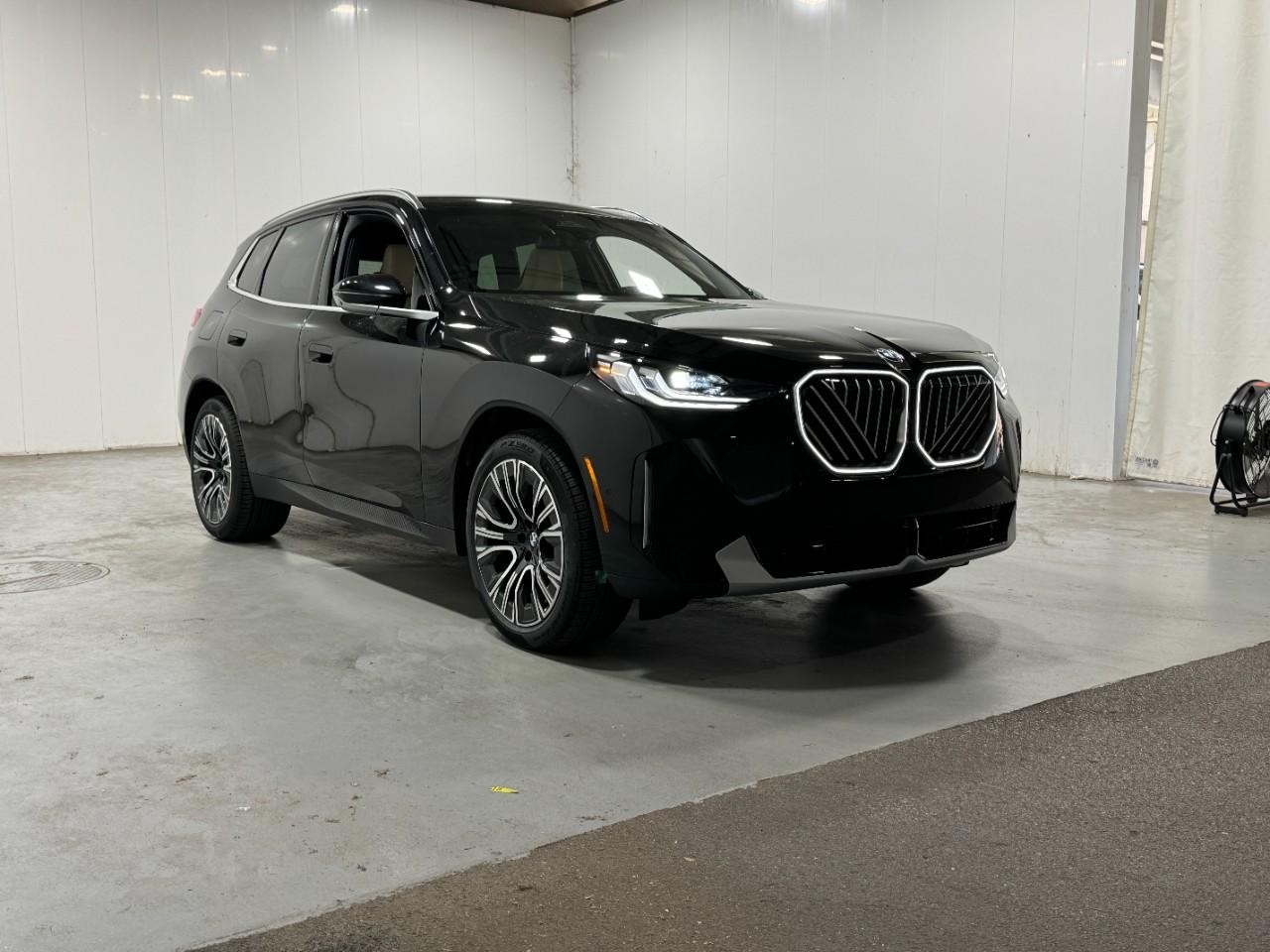 BMW X3 Vehicle Full-screen Gallery Image 6