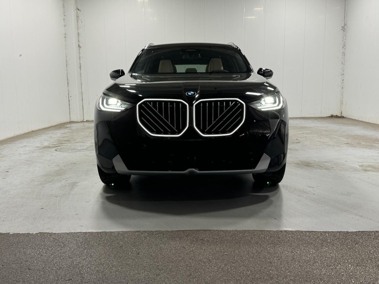BMW X3 Vehicle Full-screen Gallery Image 7