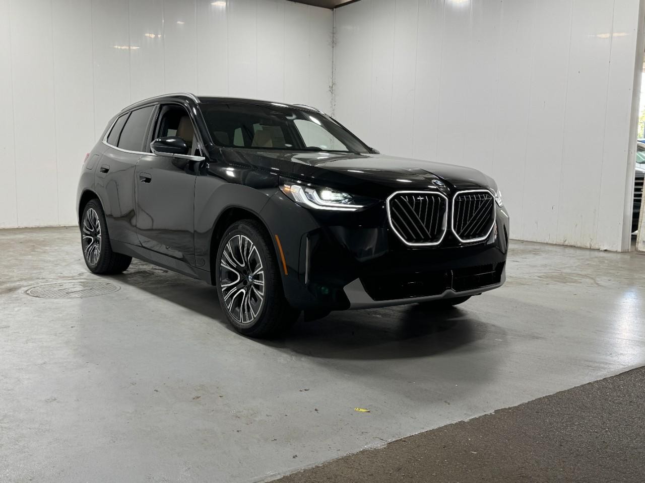 BMW X3 Vehicle Full-screen Gallery Image 6