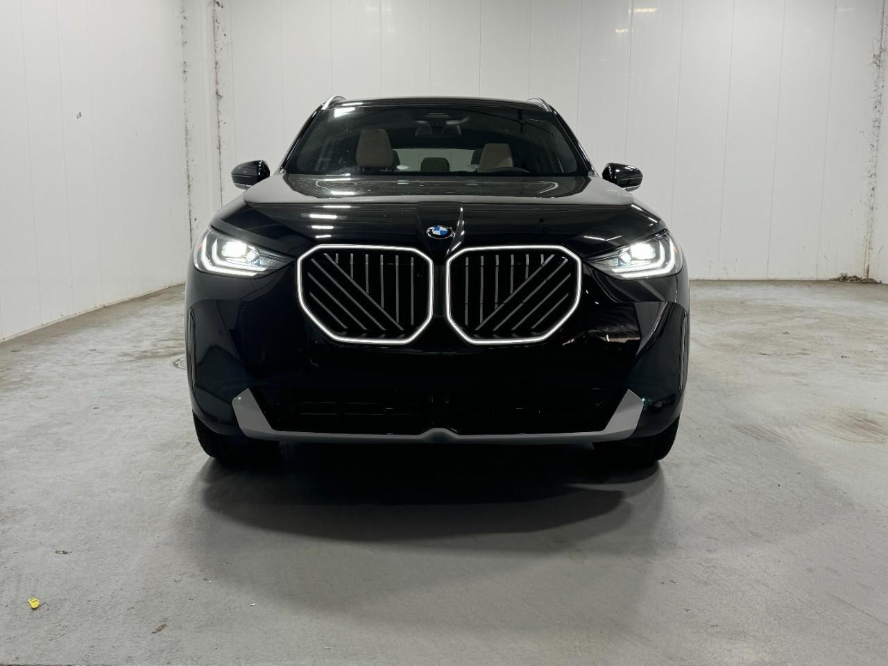 BMW X3 Vehicle Full-screen Gallery Image 7