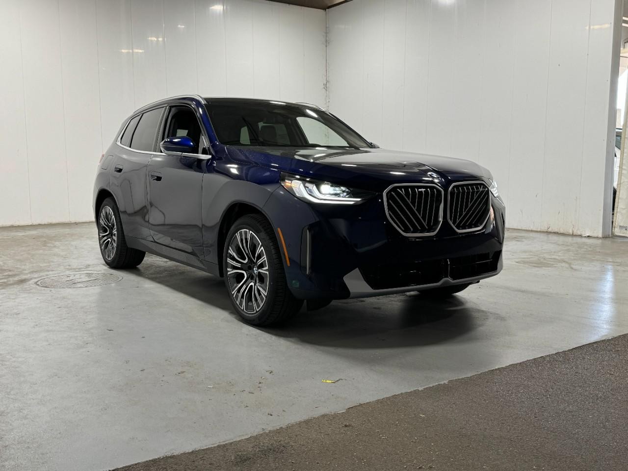BMW X3 Vehicle Full-screen Gallery Image 6