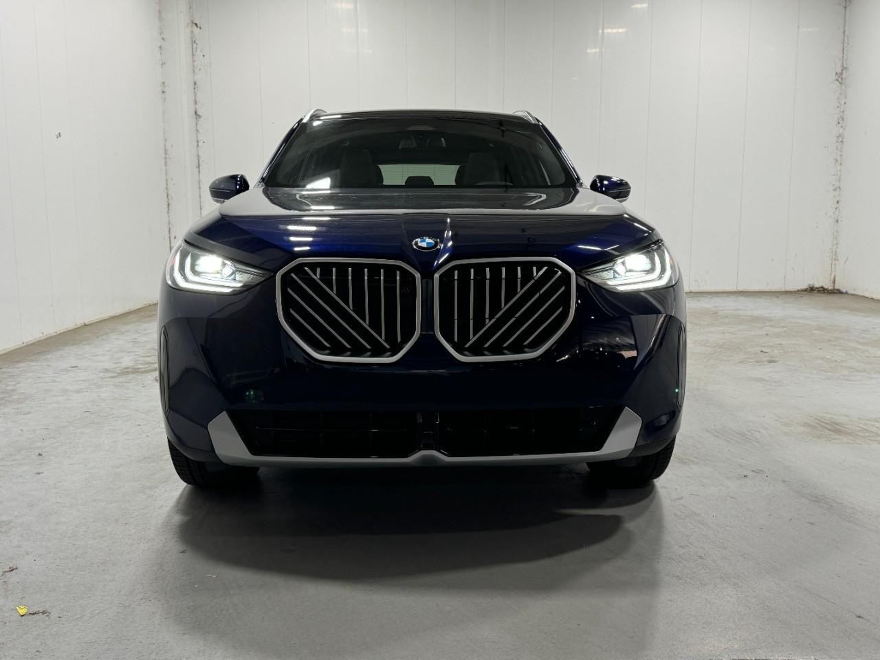 BMW X3 Vehicle Full-screen Gallery Image 7