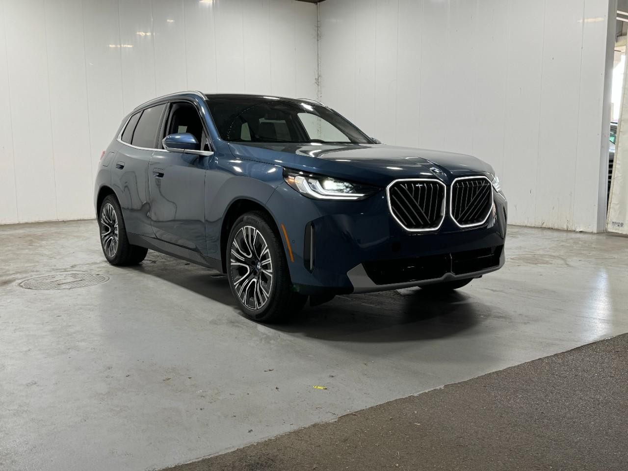 BMW X3 Vehicle Full-screen Gallery Image 6