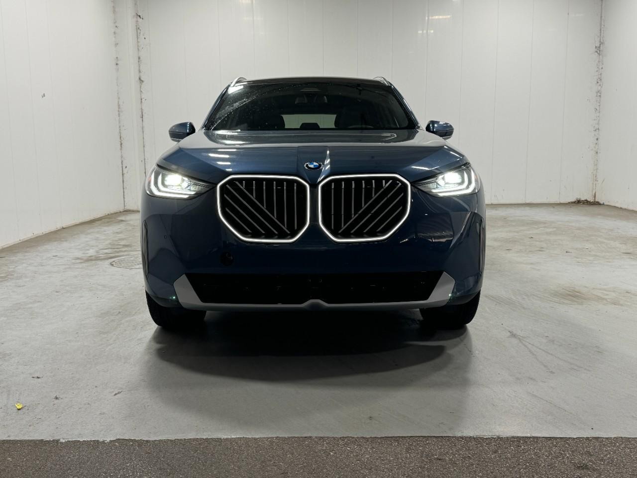BMW X3 Vehicle Full-screen Gallery Image 7